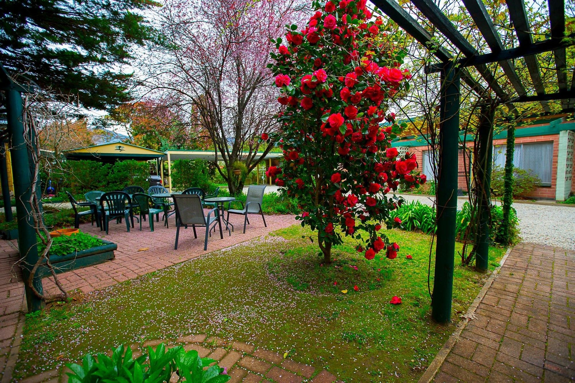 Carawatha Gardens Villa ไบรท์ ภายนอก รูปภาพ
